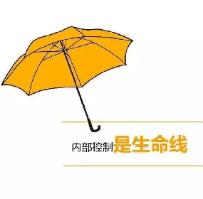 内部控制设计与评价